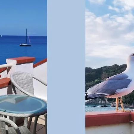 Scoglio Bianco 3* بورتوفيرّايو