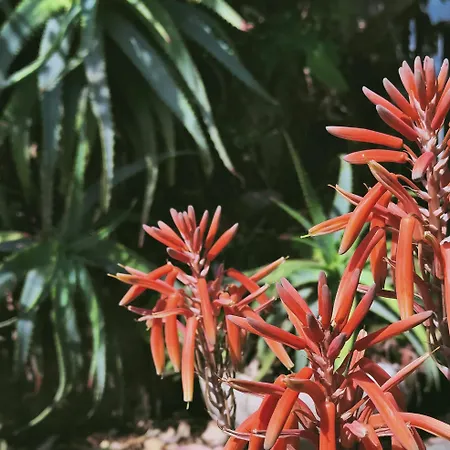 Scoglio Bianco Portoferraio