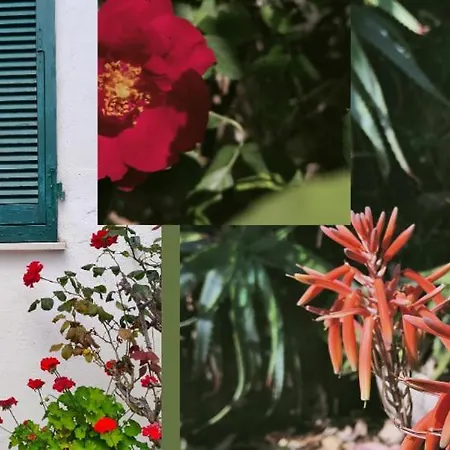 Ξενοδοχείο Scoglio Bianco 3*