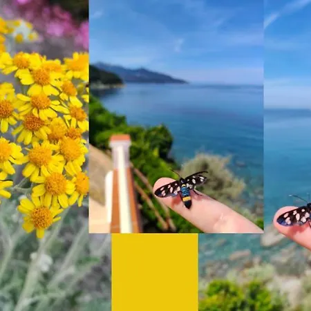 Scoglio Bianco Ξενοδοχείο Portoferraio