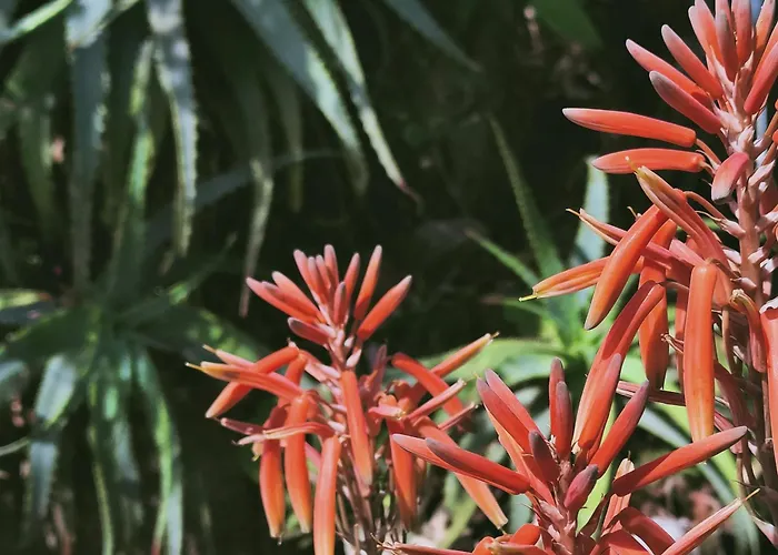 Scoglio Bianco Портоферрайо