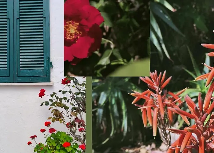 Отель Scoglio Bianco 3*