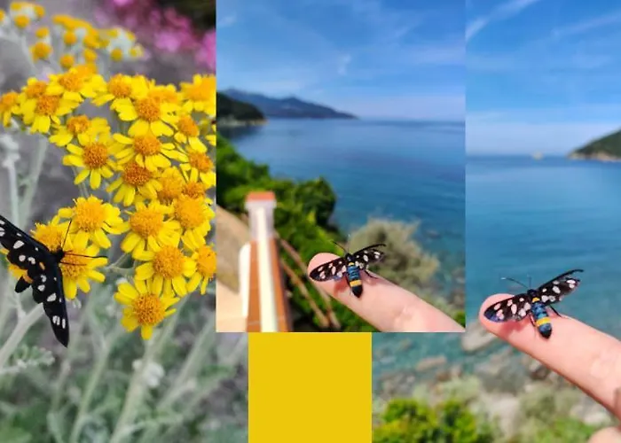 Scoglio Bianco Hotel Portoferraio